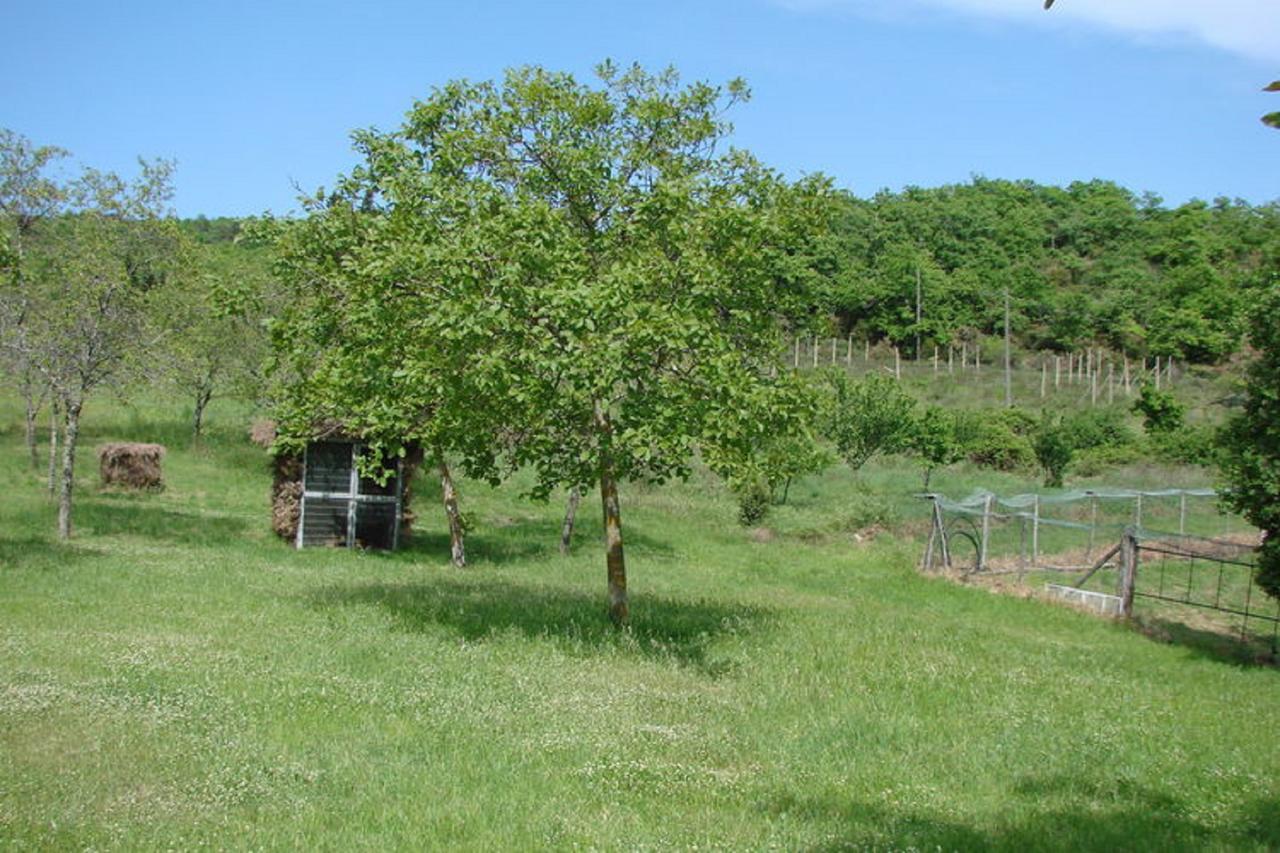 Casa Vacanza Le Corniole Civitella in Val di Chiana Esterno foto